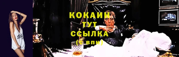 спиды Лиски