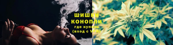 спиды Лиски