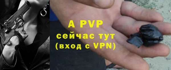 спиды Лиски