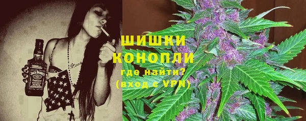 спиды Лиски