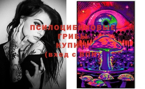 марки lsd Белокуриха