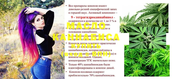 бошки Няндома