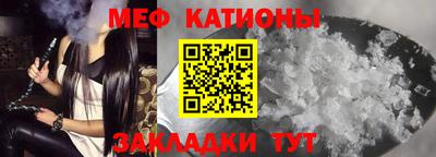 гашик Кингисепп