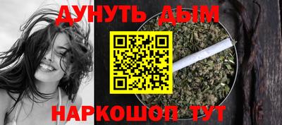 гашик Кингисепп