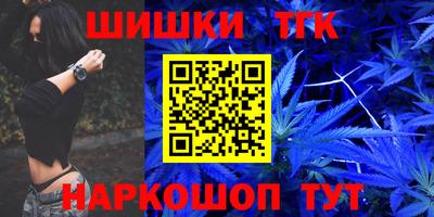 гашик Кингисепп