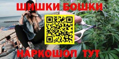 гашик Кингисепп
