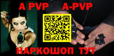 гашик Кингисепп