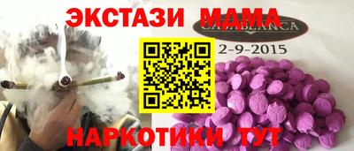 гашик Кингисепп