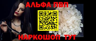 гашик Кингисепп