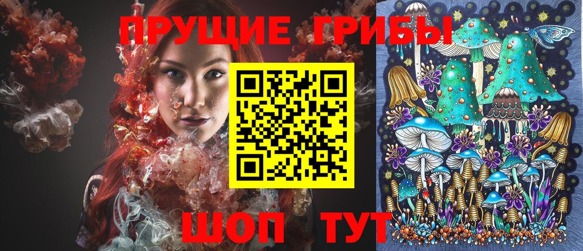 Тула  Галлюциногенные грибы прущие грибы  наркотики  Псилоцибиновые грибы мухоморы  Вход с VPN 